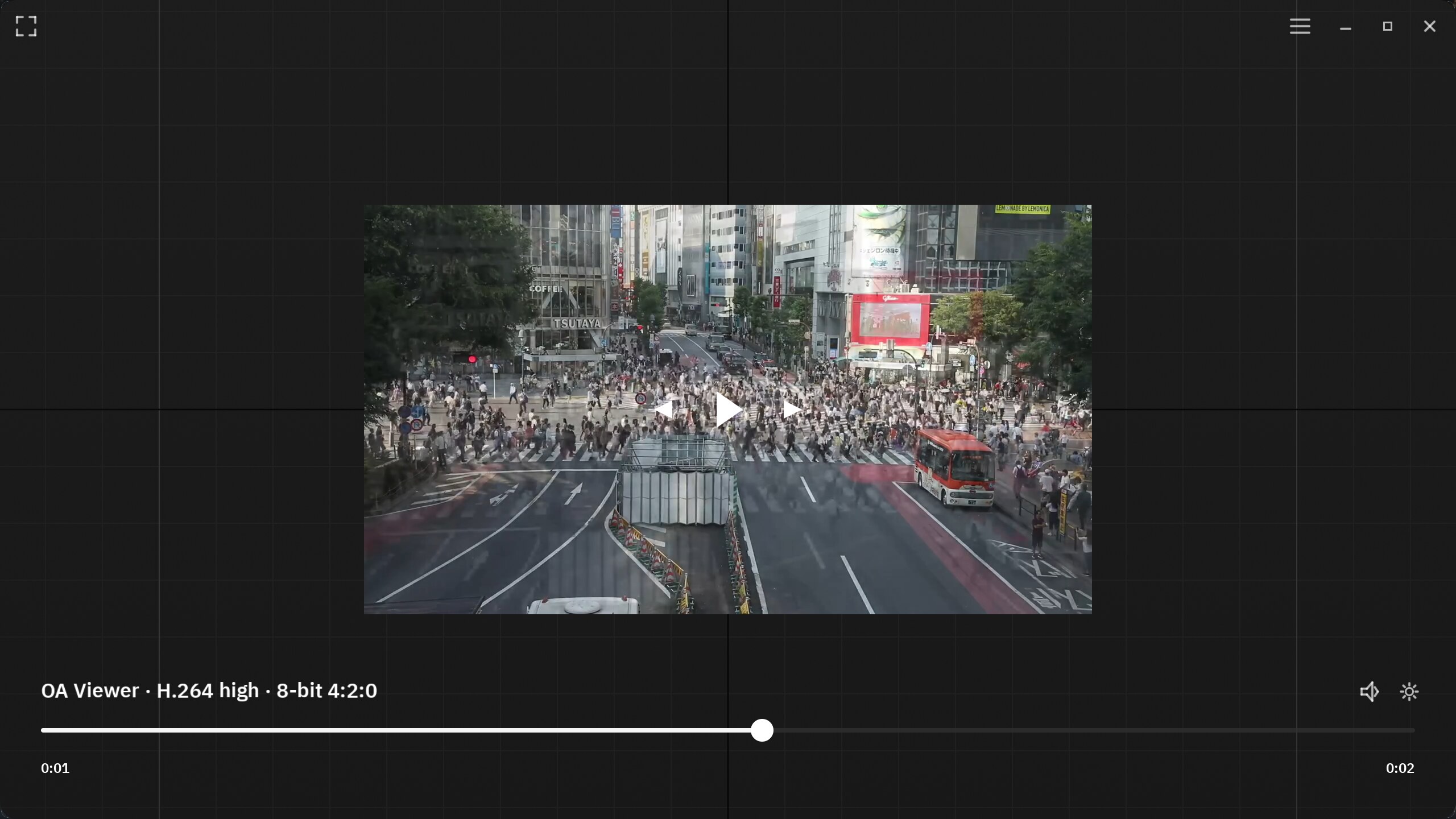 OA Viewer playing an H.264 clip on its navigable grid canvas