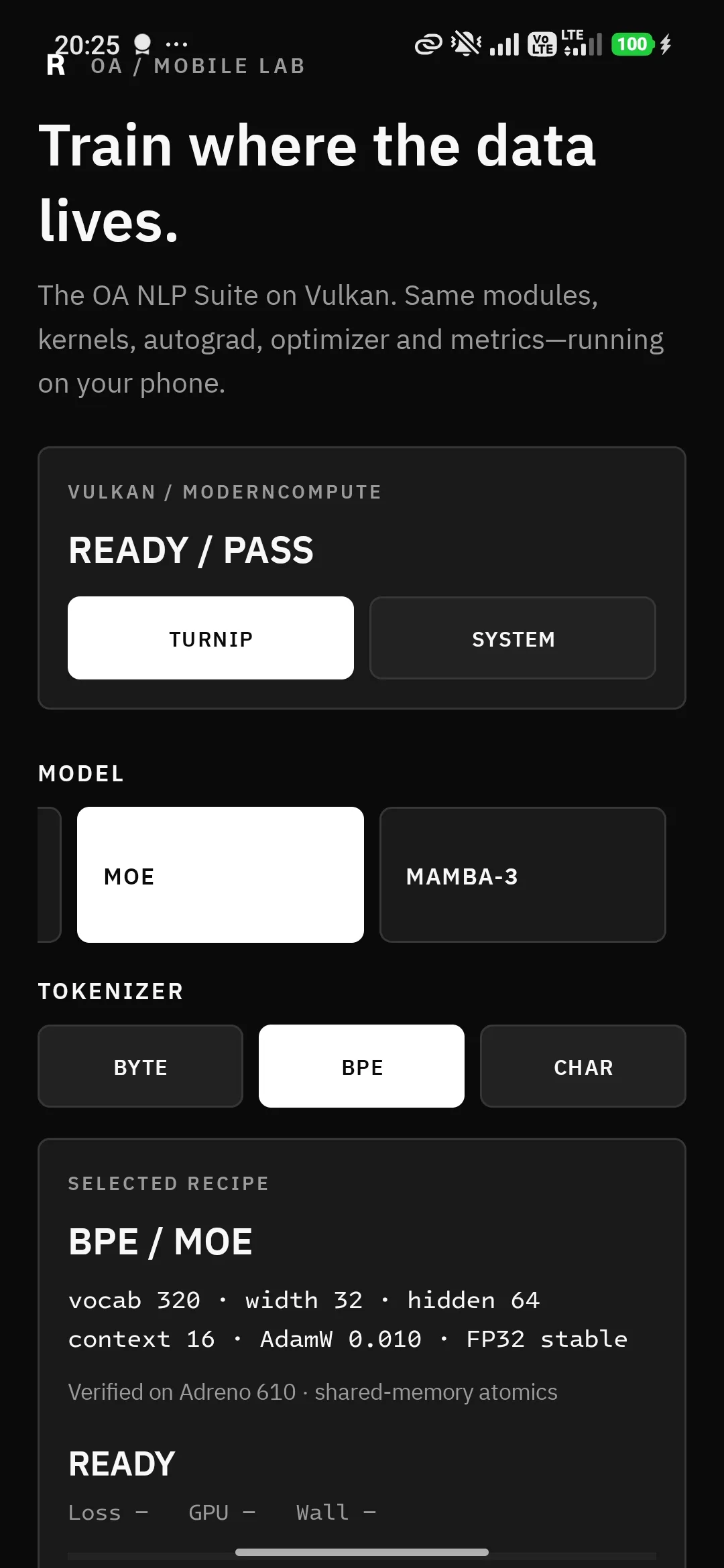 Mobile Lab model, tokenizer, and Vulkan driver controls